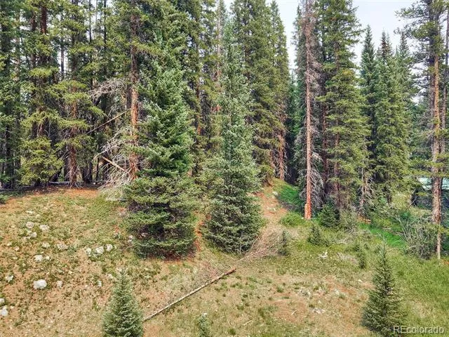 757 CR 674 Breckenridge, CO 80424
