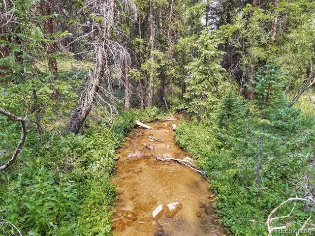 757 CR 674 Breckenridge, CO 80424