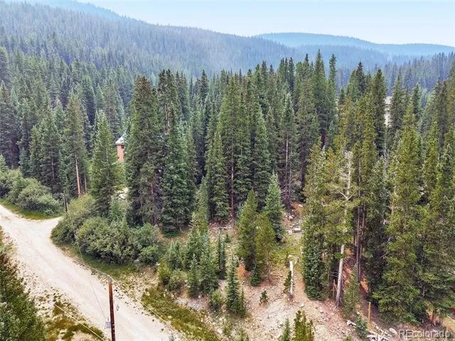 757 CR 674 Breckenridge, CO 80424