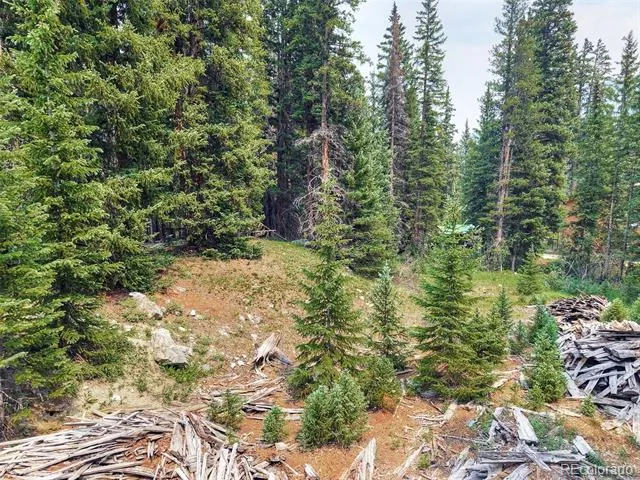 757 CR 674 Breckenridge, CO 80424