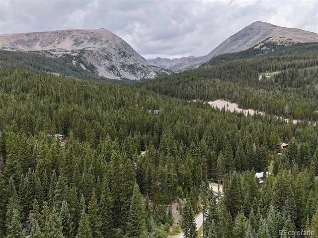 757 CR 674 Breckenridge, CO 80424