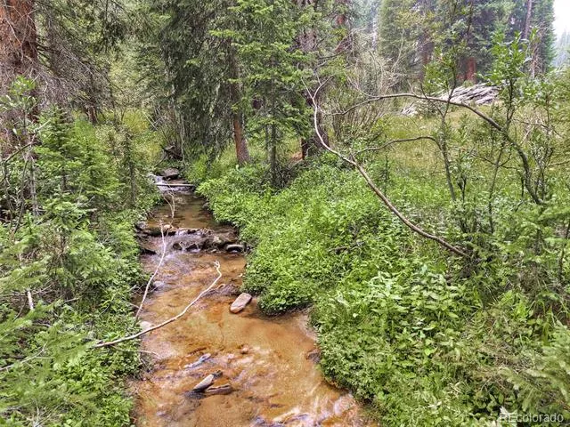 757 CR 674 Breckenridge, CO 80424