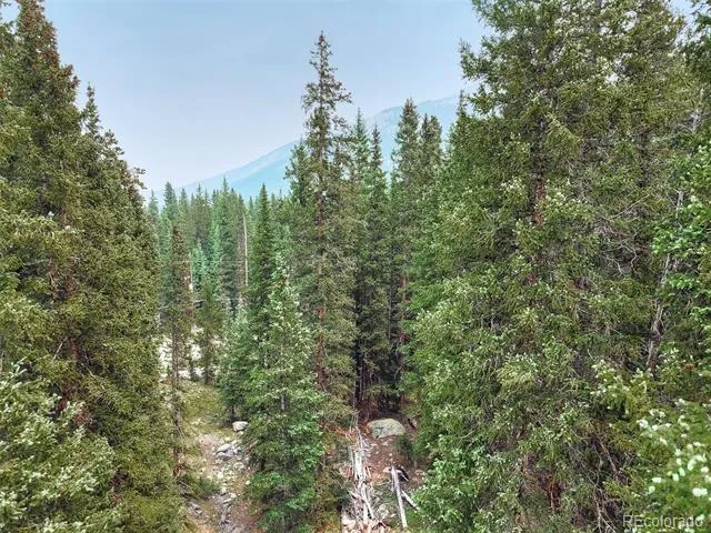 757 CR 674 Breckenridge, CO 80424