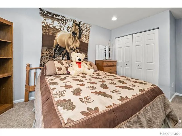 729 Mathews Circle Erie, CO 80516