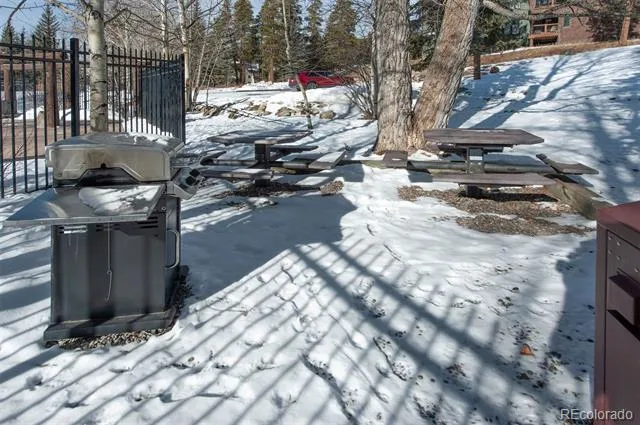 352 Wild Irishman Road #1907 Keystone, CO 80435
