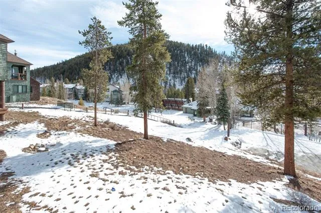 352 Wild Irishman Road #1907 Keystone, CO 80435