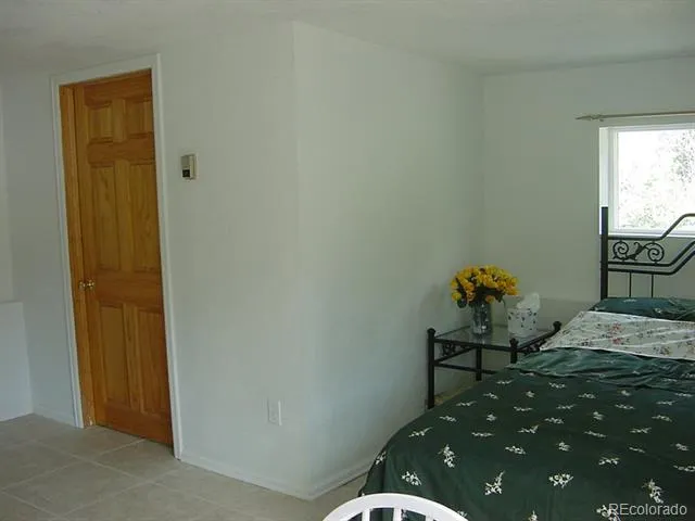 26 Avery Street Empire, CO 80438
