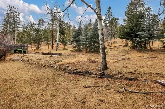 55 Meadow View Drive Evergreen, CO 80439