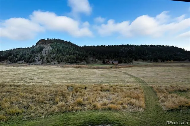 1636 Lakemoor Drive Florissant, CO 80816