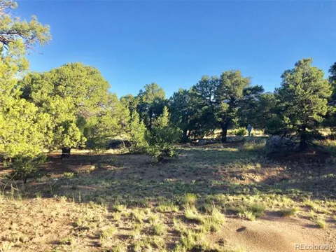 3514 Forest Trail Overlook