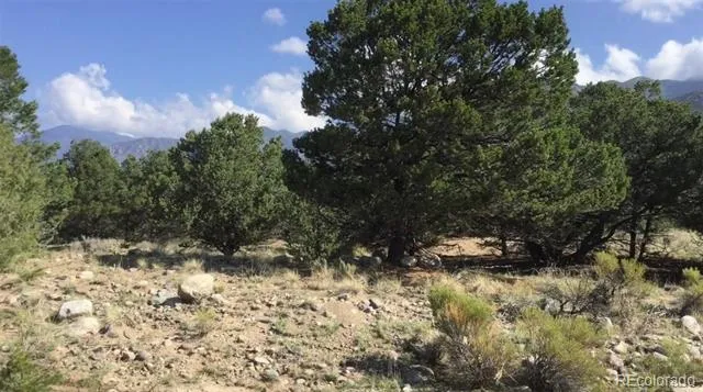 3514 Forest Trail Overlook Crestone, CO 81131