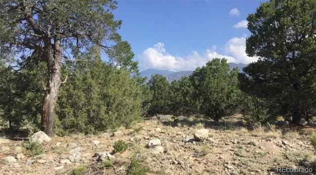 3514 Forest Trail Overlook Crestone, CO 81131