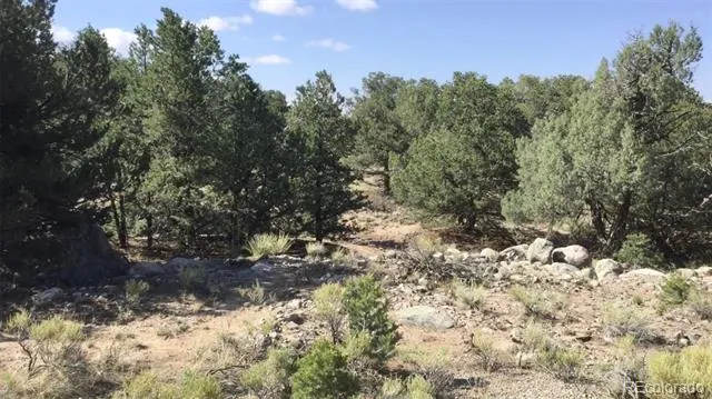 3514 Forest Trail Overlook Crestone, CO 81131