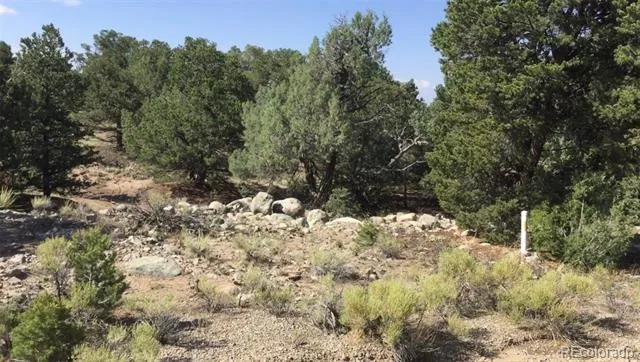 3514 Forest Trail Overlook Crestone, CO 81131
