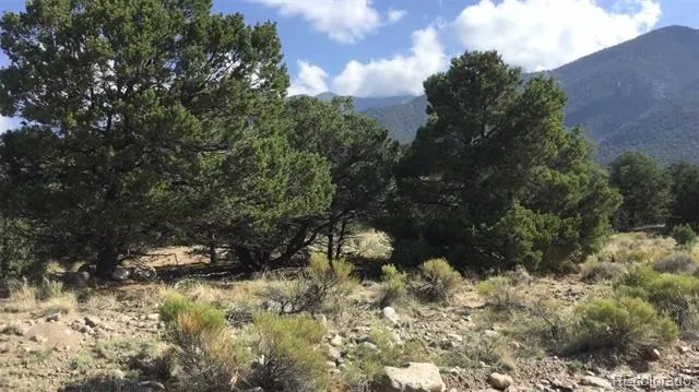 3514 Forest Trail Overlook Crestone, CO 81131