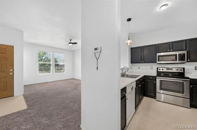 6042 Ensemble Heights Colorado Springs, CO 80923