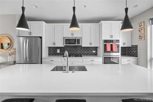 3445 Mykonos Drive Castle Rock, CO 80109