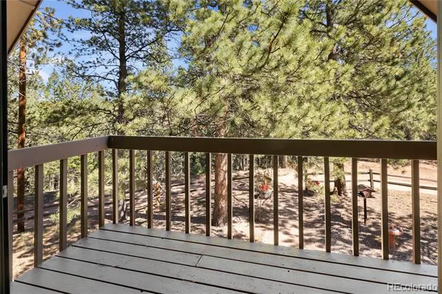 303 Ute Trail Woodland Park, CO 80863