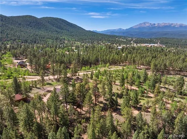303 Ute Trail Woodland Park, CO 80863