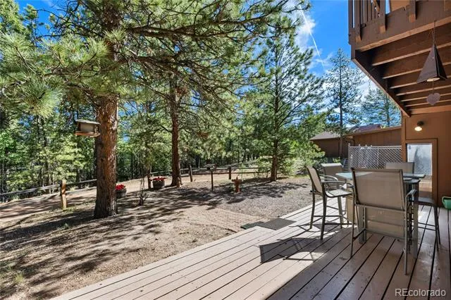 303 Ute Trail Woodland Park, CO 80863