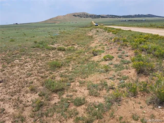 6372 Larimer Road Hartsel, CO 80449