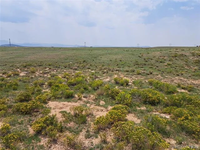 6372 Larimer Road Hartsel, CO 80449
