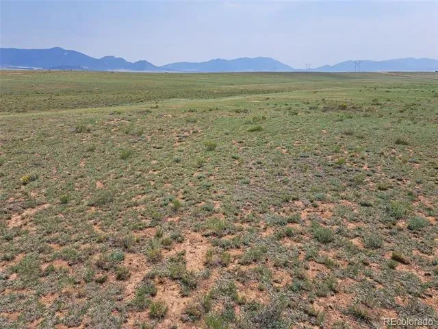 6372 Larimer Road Hartsel, CO 80449