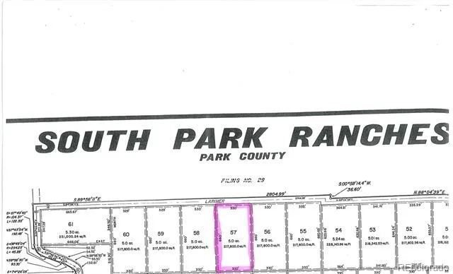 6372 Larimer Road Hartsel, CO 80449