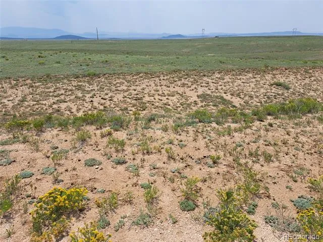 6372 Larimer Road Hartsel, CO 80449