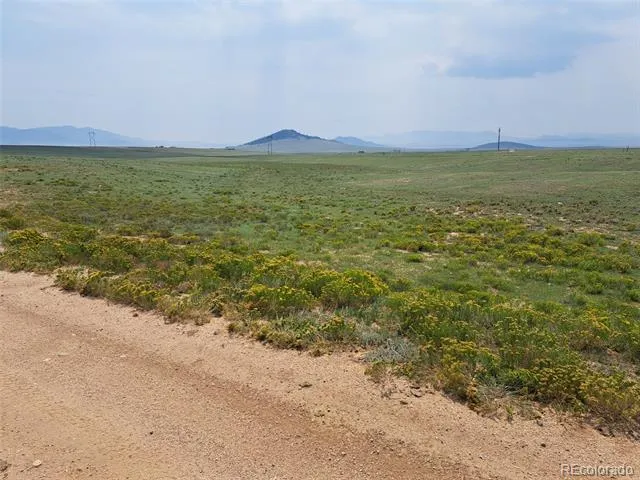 6372 Larimer Road Hartsel, CO 80449