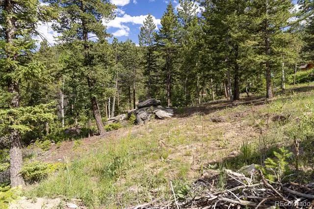 31429 Burke Road Golden, CO 80403