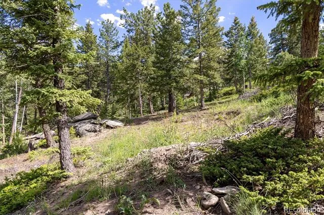 31429 Burke Road Golden, CO 80403