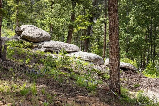31429 Burke Road Golden, CO 80403