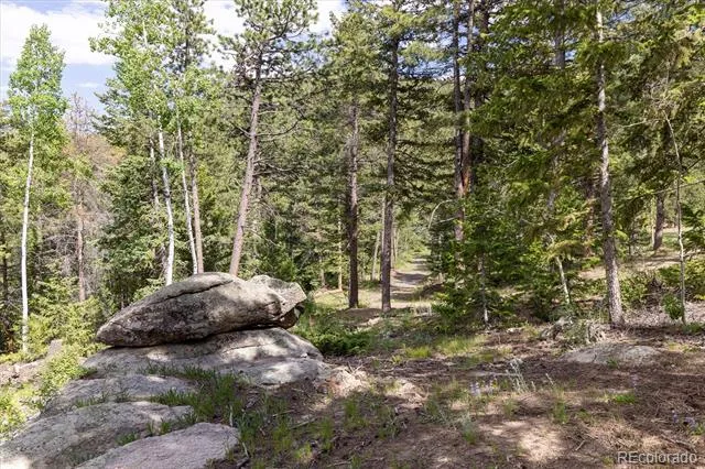 31429 Burke Road Golden, CO 80403