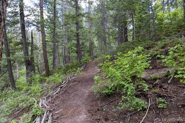 31429 Burke Road Golden, CO 80403