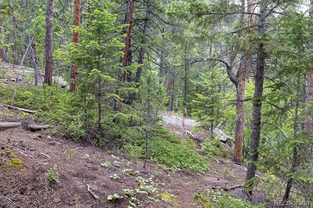 31429 Burke Road Golden, CO 80403