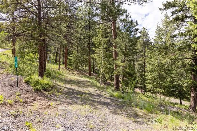 31429 Burke Road Golden, CO 80403