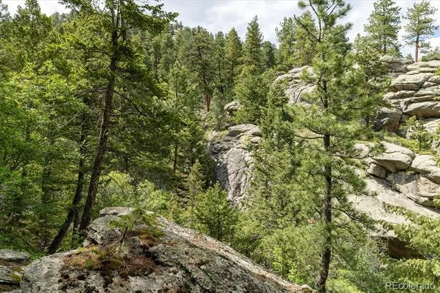 31429 Burke Road Golden, CO 80403