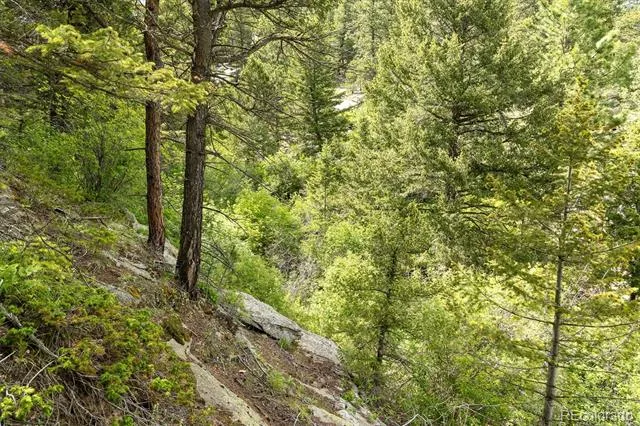 31429 Burke Road Golden, CO 80403