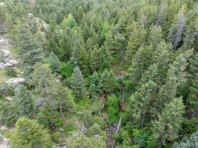 31429 Burke Road Golden, CO 80403