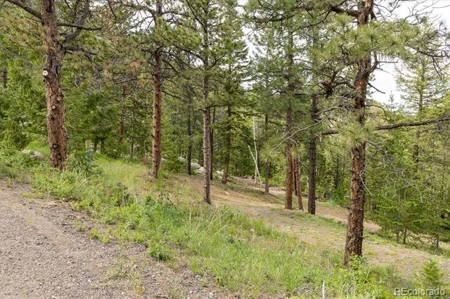 31429 Burke Road Golden, CO 80403