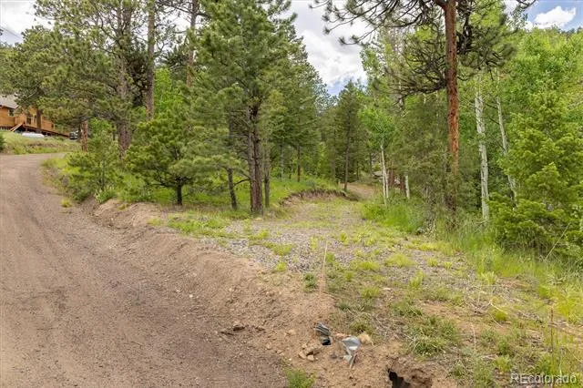 31429 Burke Road Golden, CO 80403