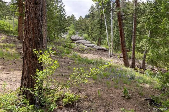 31429 Burke Road Golden, CO 80403