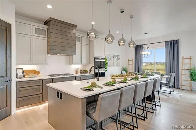 3662 Buchanan Court Aurora, CO 80019