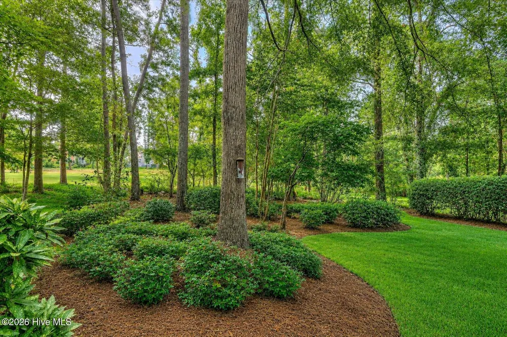 4172 Tindall Drive Evans, GA 30809