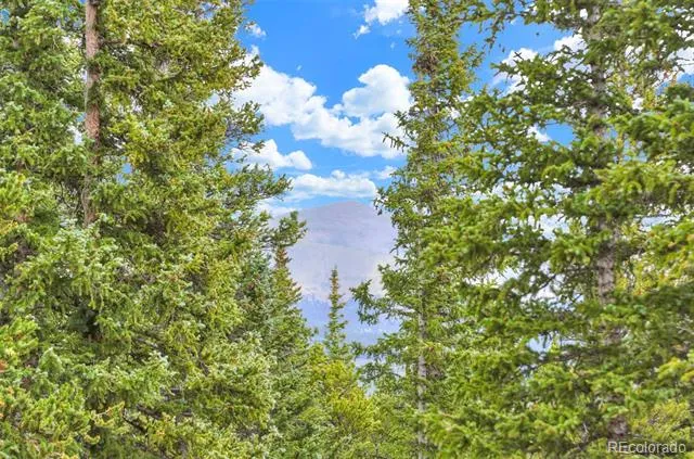 369 Prunes Place Fairplay, CO 80440
