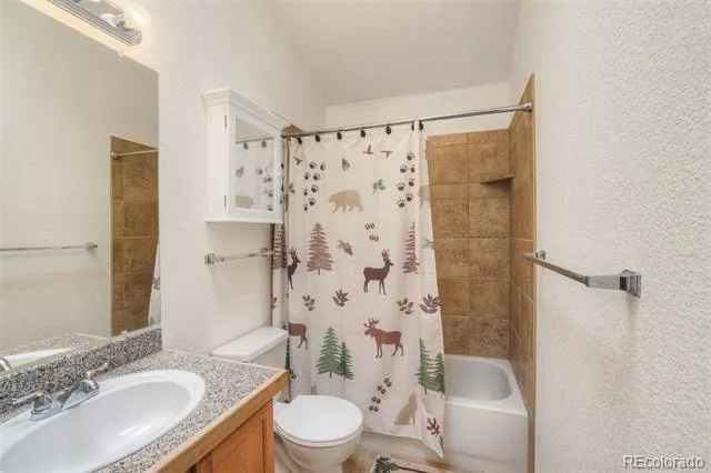 369 Prunes Place Fairplay, CO 80440