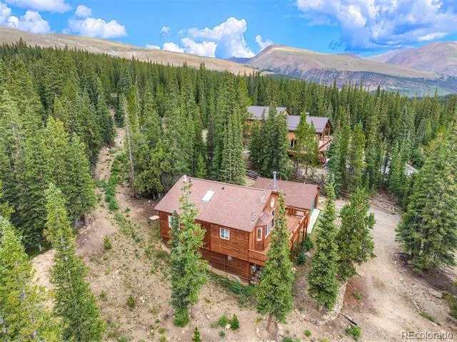 369 Prunes Place Fairplay, CO 80440