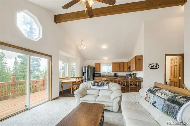 369 Prunes Place Fairplay, CO 80440