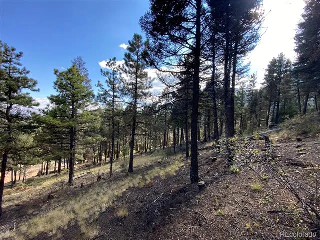 342 Ponderosa View Manitou Springs, CO 80829